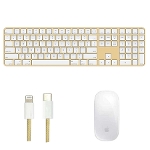 yiz Apple MagicKeyboard- piUSj A2520 eL[t  MagicMouse Zbg USB-C LightningP[ut CG[ Macfp Touch ID Multi-TouchΉ BN